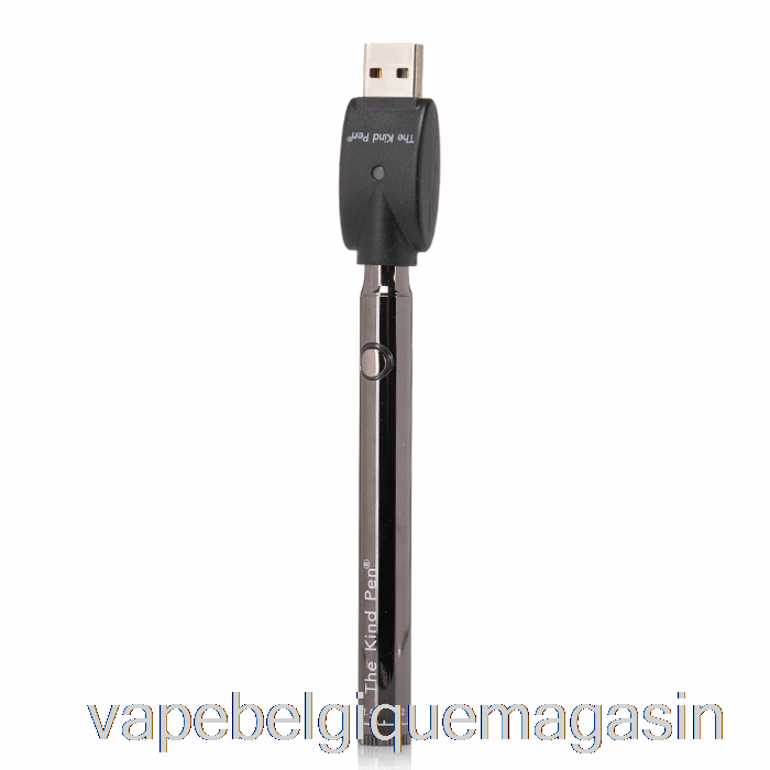 Vape Jetable The Kind Pen Twist Vv 510 Batterie Gunmetal